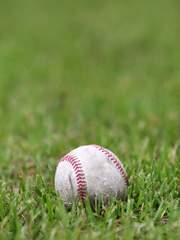 Ace Of Diamond (미사와) 안녕, 처음뵙겠습니다!