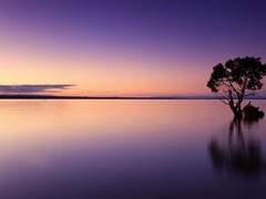 나루미야 히카리/1학년/트와일라잇