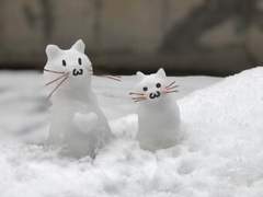 ‘그저 추억’ 이라고 해야하나