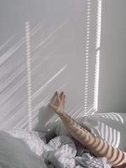 꿈은, 그리고 현실은.