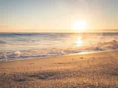 이러므로 사람이 선을 행할 줄 알고도 행치 아니하면 죄니라