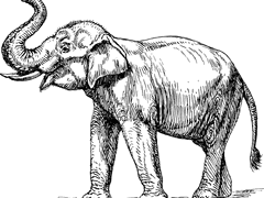 세존께서는 아시겠지요.