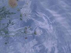 고독한 레이겐..