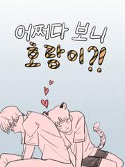 어쩌다 보니 호랑이