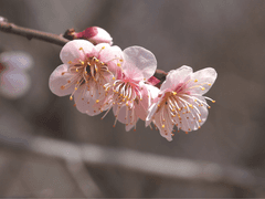 [ 여보셔 ] 내가 생각하는 결말 (스포)