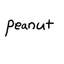 땅콩