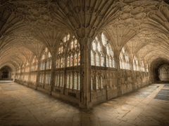 [ 전리농 ] 마법 학교 승지다종