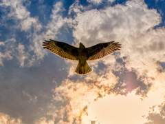 쉬어갈 둥지가 되어