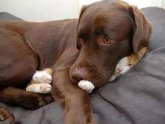 몬랑자 본계 & 뒷계 백업 20