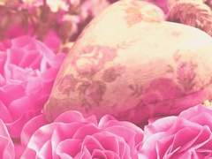 [하나카와 로제/中]