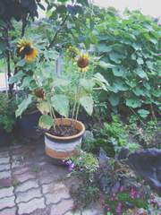 [단편] 내가 가장 예뻤을 때