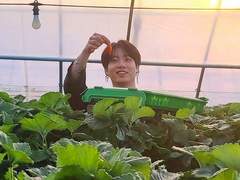 [KV] 뚝뚝(완쟈님 4)