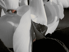 보잘것없는 내가