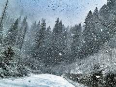 [고죠유지] 세상의 끝 01