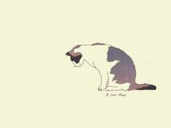 [순부] 우리의 순간 D 完