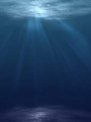 Smooth waters run deep [Log]