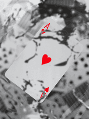 아카바나 에르킨