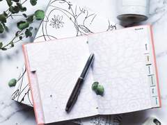 12. 우리는 자기 자신에게 거짓말을 할 수 있을까?