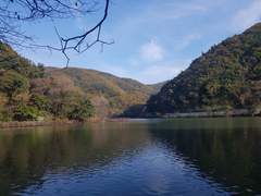 처음 만난 사이