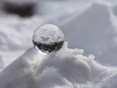 이젠, 내가 후회하네.