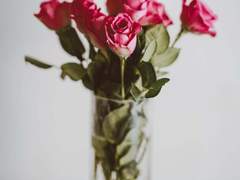 [황시목] 갑자기 가이드 40