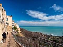 푸른 사이프러스 下