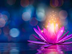 등전만리심(燈前萬里心)_10