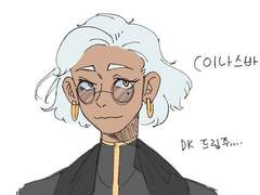 (NSR) 이나스바 단