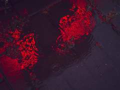 [아마야 릿카 雨夜 緑夏 /上]