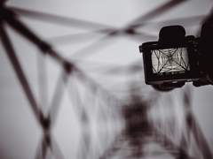 [디오엘리] 관심