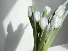 너는 딸기를 좋아하고,