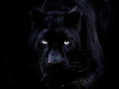 [멸시커] Herschel / 26 🦋