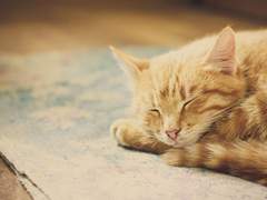 [재석/태수/시백]Cats In The Cradle