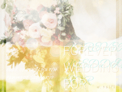 (배포중단)Forever wedding for you