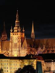 나는 환생한 황태비자다