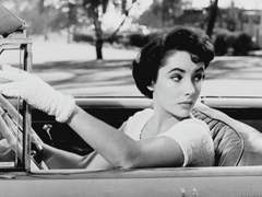 가족을 정의하시오