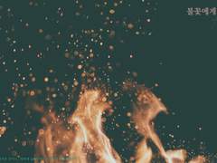 부디 나를 닮지 말고,