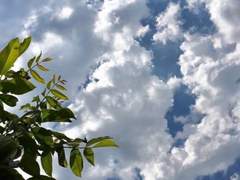 같이 걷는 것만으로도 1