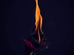 [시몬(Simon)/뱀파이어/38]