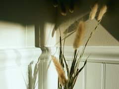 Dear. Hazel E. Spencer