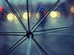 [1] 우산을 잊었다