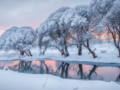 햇님과 달님 - 1