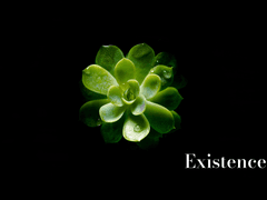 Existence