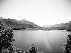 솔잇 | 온전히 너를