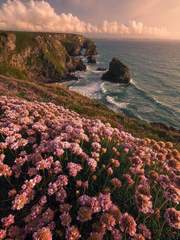 에리카, 바다, 폭풍