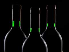 [도진/성식/은창] 술과 독