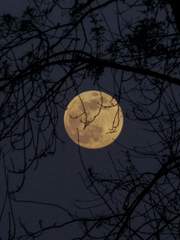 천하제일괴담대회