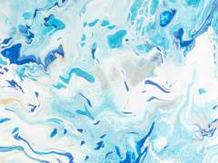 우주해적 하루살이