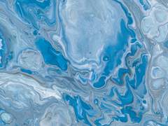 그 날 밤에는 거미가 울었다