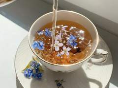 𝕳𝖎𝖛𝖎𝖆 𝕭𝖗𝖞𝖆𝖙 𝕲𝖗𝖊𝖊𝖓𝖎𝖓𝖌